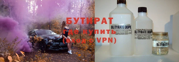 крисы Бородино