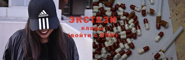 крисы Бородино