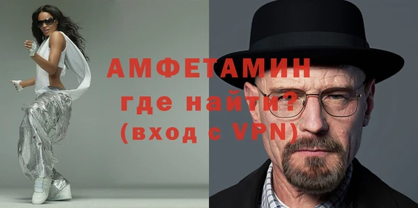 крисы Бородино