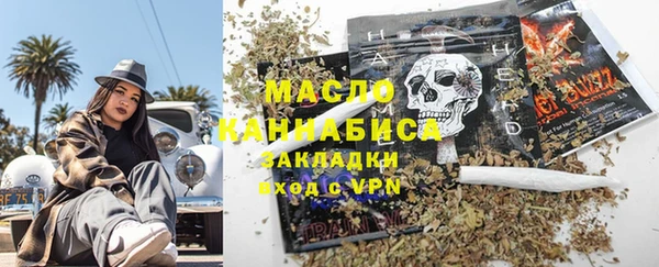 крисы Бородино