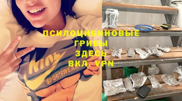 ешки Богородск