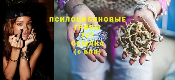 гидра Бикин