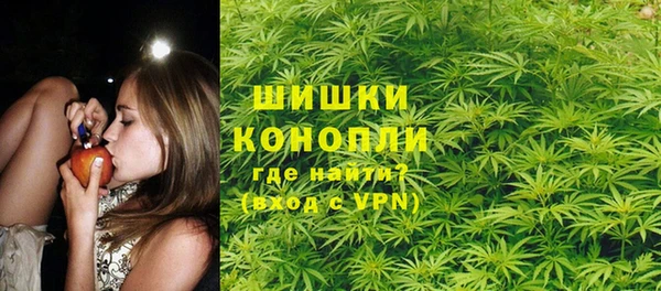крисы Бородино