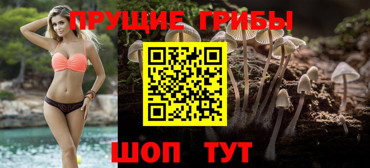 Галлюциногенные грибы GOLDEN TEACHER  наркошоп  Псилоцибиновые грибы Psilocybe  Кстово  Вход с VPN 