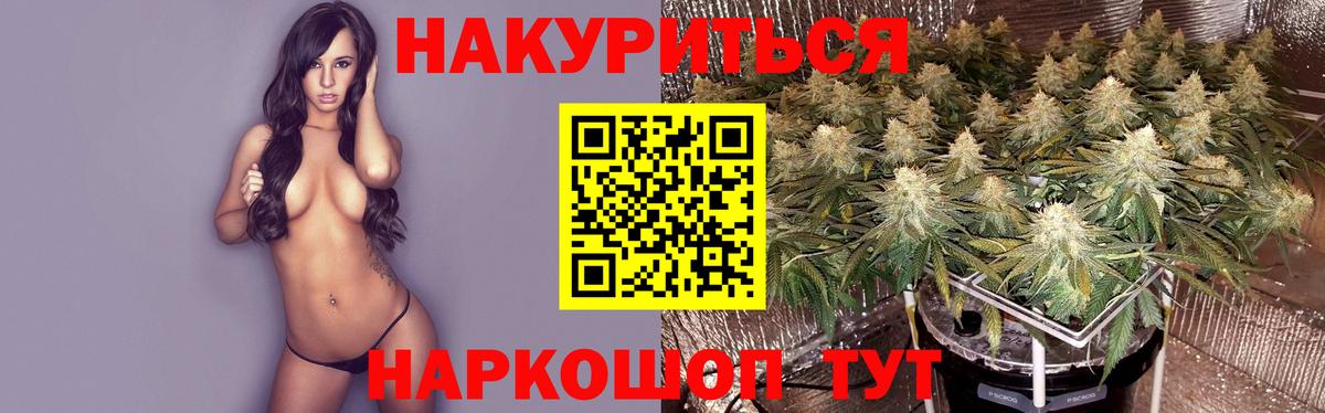 МАРИХУАНА SATIVA & INDICA Кстово